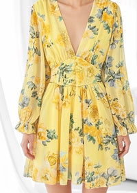 Sasha print dress