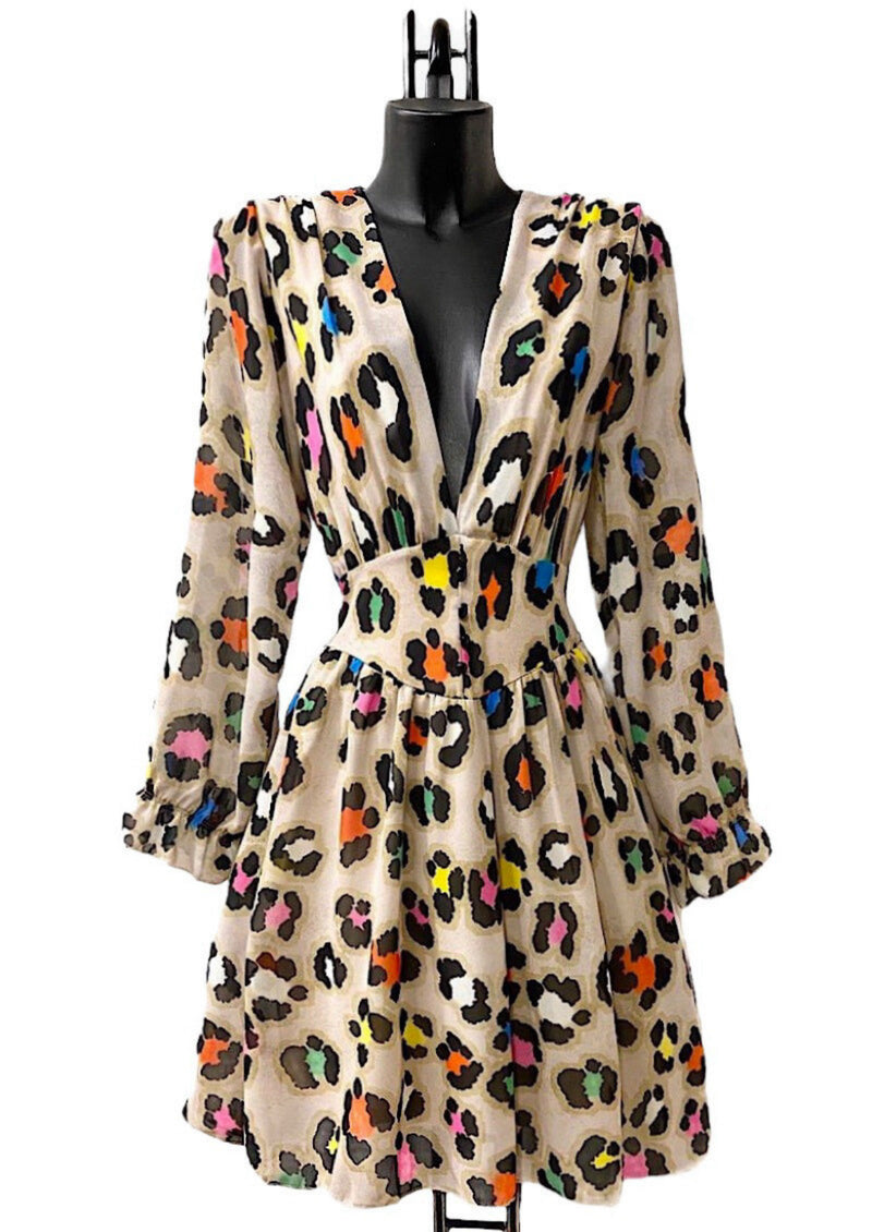 Charlene print dress